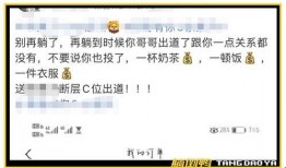 体育界饭圈文化 爆料盒子,揭秘爆料盒子背后的秘密
